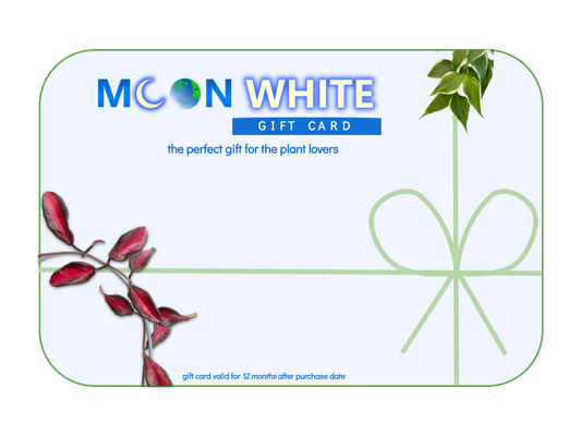 moonwhite.co.nz gift card